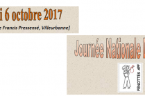 Bannière