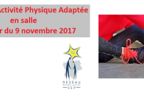Bannière APA 2