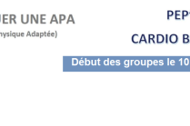 Bannière